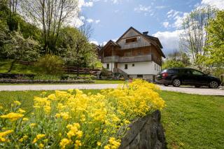 Apartments Mlin - Bohinj - 0