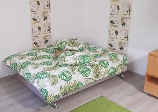 Green Apartman - Târgu-Mureş - 4