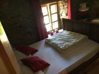 Vieux Logis een prachtige Ardeense vakantiewoning - Vresse-sur-Semois - 1