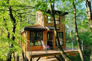 Węgiełek Treehouse - Kazimierz Dolny - 2