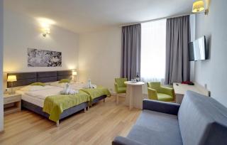 Dobrzyński Resort Topaz - Świeradów-Zdrój - 2