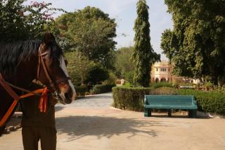 Roop Niwas Kothi, Near Mandawa - Nawalgarh - 3