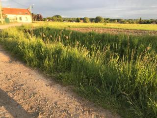 Gites du bien-hêtre - Saint-Amand-les-Eaux - 2