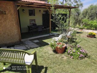Agriturismo Poggio all'Olivo - 8