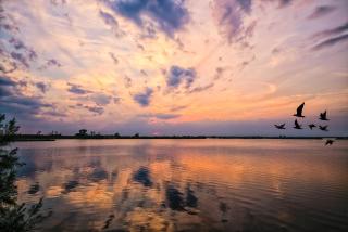 Villa Gloria appartamento E02 - 1