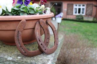 Bauernhofurlaub bei Familie Bokeloh - 5