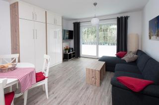 Apartment an der Wurmbergseilbahn 1 - Braunlage - 3