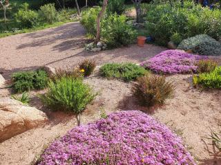 Mini-villas Célia à BONIFACIO - 4