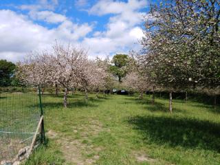 Location des isles - 3