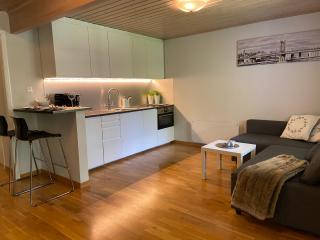 Cozy apartment nearby Oslo Koselig leilighet i nærhet til Oslo - 6