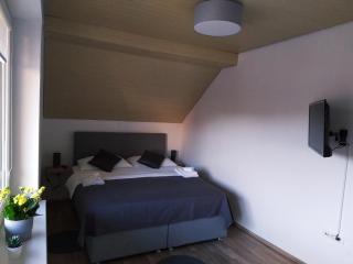 Apartment Trubarjeva33, near Ljubljana, free parking - Velike Lašče - 4