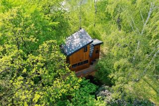 Węgiełek Treehouse - Kazimierz Dolny - 1