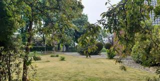 Bed & Breakfast in ons Bakhuis - 1