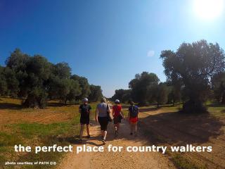 B&B Villa Giuliana - 5