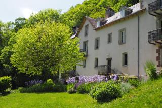Domaine de la Jordanne - B&B - Saint-Cirgues-de-Jordanne - 4