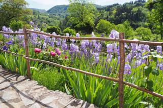 Domaine de la Jordanne - B&B - Saint-Cirgues-de-Jordanne - 2