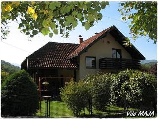 Vila Maja - Bajina Bašta - 7