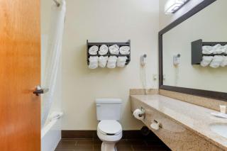 Comfort Suites Stevensville - St Joseph - Stevensville - 7