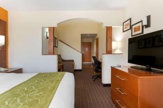 Comfort Suites Stevensville - St Joseph - Stevensville - 3