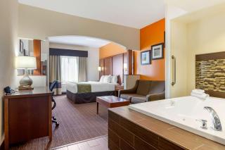 Comfort Suites Stevensville - St Joseph - 2