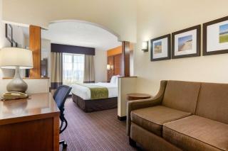 Comfort Suites Stevensville - St Joseph - Stevensville - 4