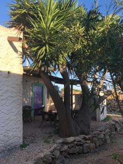 I Dammusi del Blu Green - Lampedusa - 4