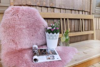 Igluhut Tiny House Bayerischer Wald - Zachenberg - 8