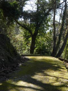 Il Laghello di Amina - Framura - 2