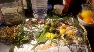 La Rectoria De Sant Miquel De Pineda - 2