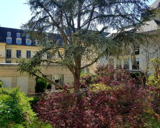 Assia & Nathalie - Luxury B&B MARAIS - Paris - 1