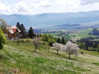 Ferienhaus Hochfelner - 8