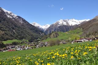 Ferienhaus Enzian - Prägraten am Großvenediger - 7