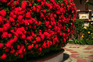 Hosteria Tonusco Campestre - 4