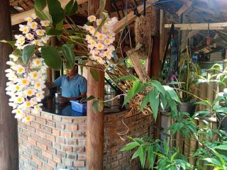 Loren Homestay - Phong Nha - 3