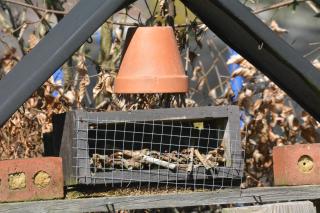 Le Fagotin - Youth hostel - 1