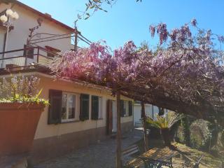 La Vivagna - Casa vista mare tra gli ulivi - Leivi - 9