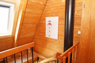 Urlaub fuer die ganze Familie - Damp - 1