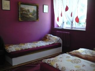 Pokoje gościnne u Andrzeja - Radków - 9