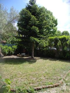Casa del Gelso - Trevignano Romano - 2