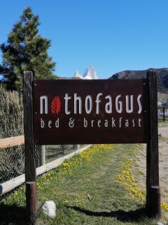 Nothofagus Bed & Breakfast - El Chalten - 0