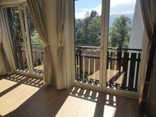 Wrzos Karkonoszy - 2