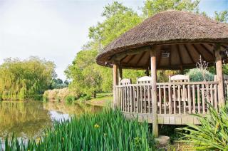 Northlands Farm Superior Chalet 1 - Chichester - 0