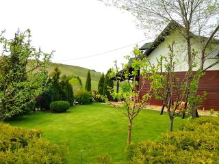 Apartments Hill House Zlatibor - Zlatibor - 6