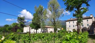 Agriturismo La Bella - Follina - 2