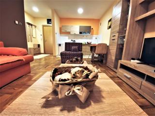 Apartment Vas Raj - 3