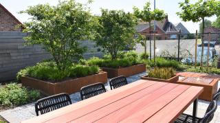 Vakantiewoning Lescaut - Hamme - 4
