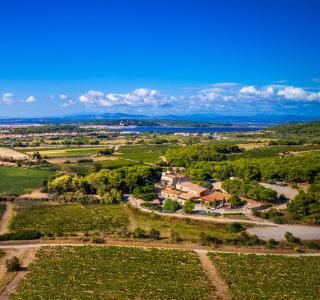 Château le Bouïs - Gruissan - 7