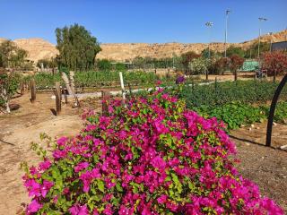 Kibbutz Ketura Guest House - 5