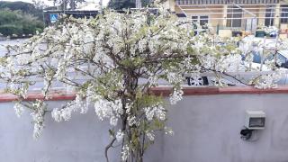 Le Bagnanti Di Miro' - Terracina - 0