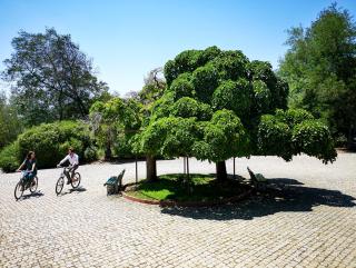 Herdade Clube Tiro Monfortinho - Monfortinho - 6